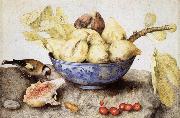 Giovanna Garzoni Chinese Cup with Figs,Cherries and Goldfinch Norge oil painting reproduction